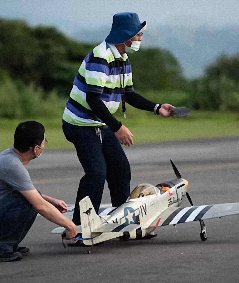 (image for) Remote Control Models