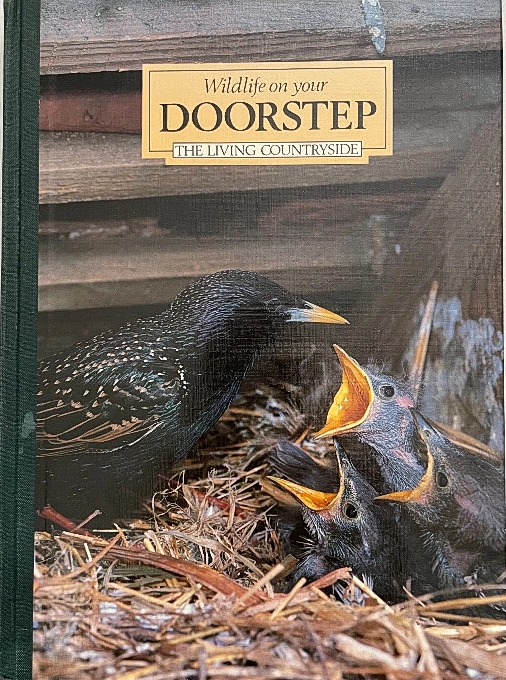 (image for) Wildlife on Your Doorstep