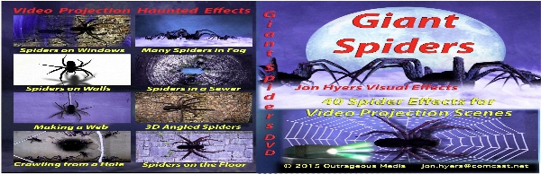 (image for) Spiders